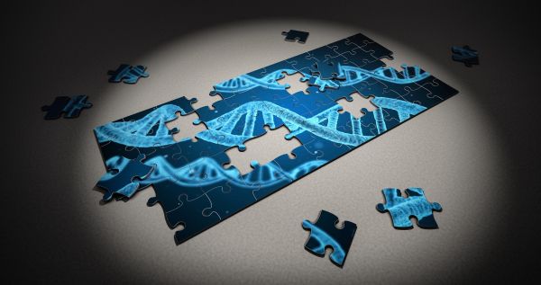 Graphic of a jigsaw puzzle of DNA