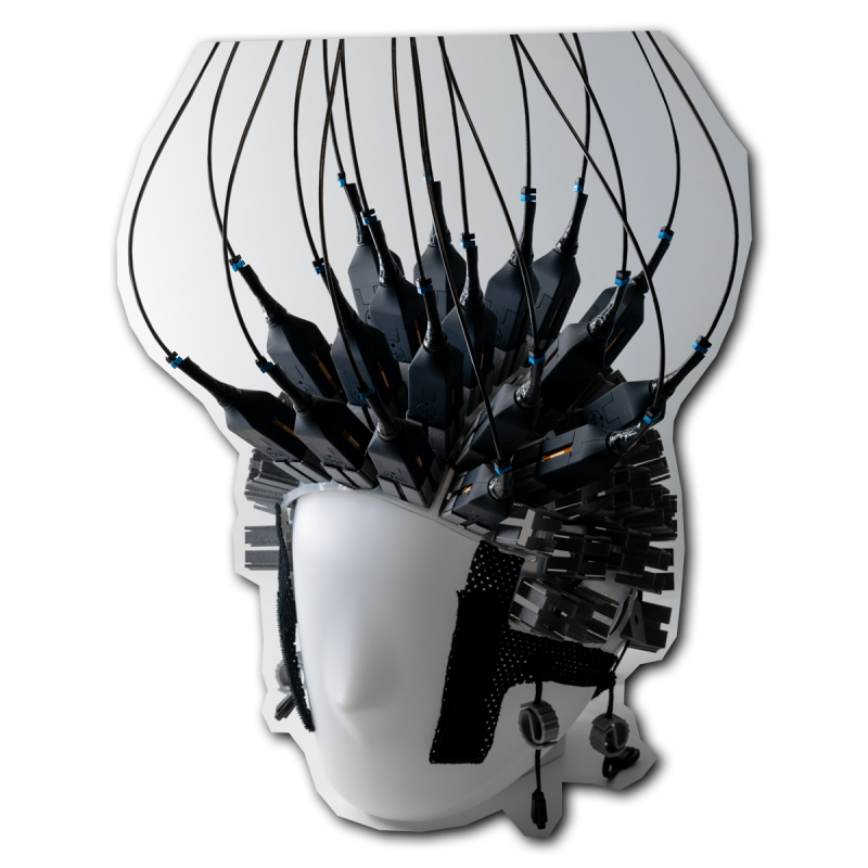 Image for OPMEG Workshop