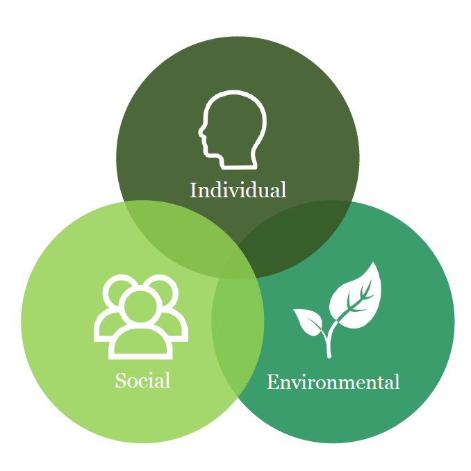 3 overlapping circles, labelled, "Individual", "Social", and "Environmental."